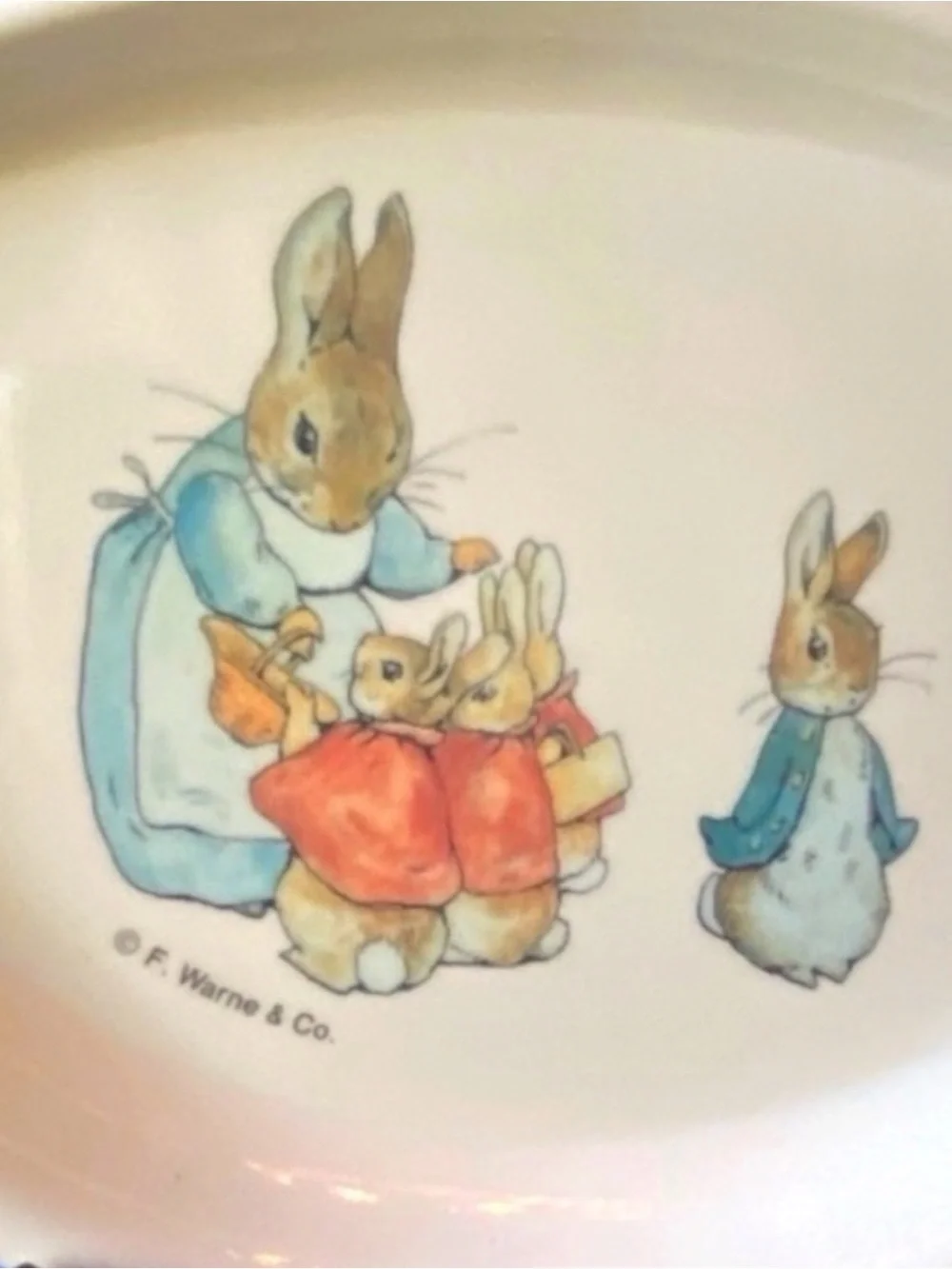 Peter Rabbit & Friends Melamine Plate Vintage Eden Beatrix Potter Plate